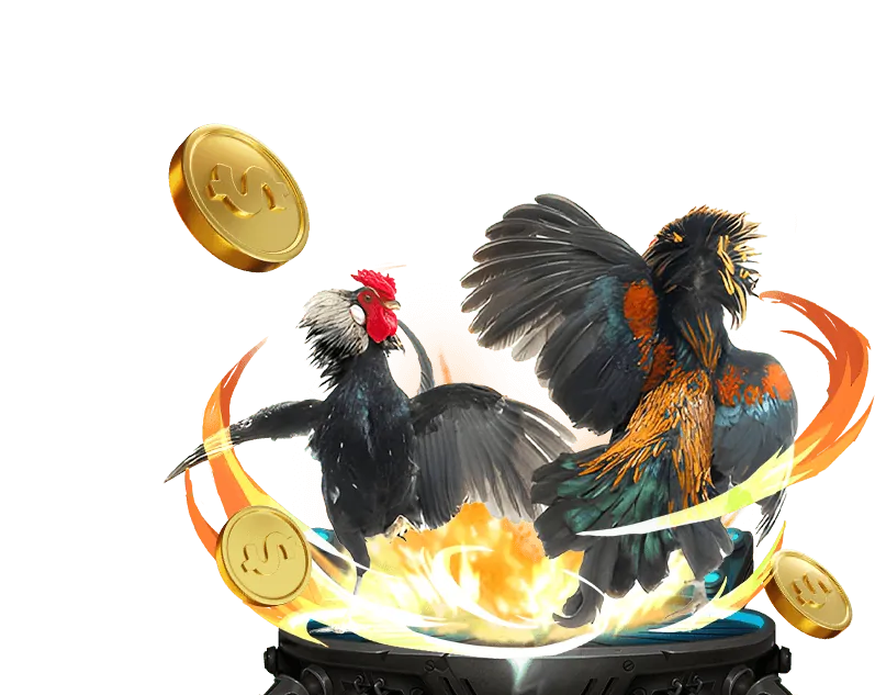 Hướng dẫn xem đá gà trực tiếp tại iwin68 club